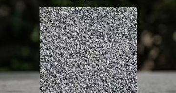 吉林市 芝麻黑荔枝面