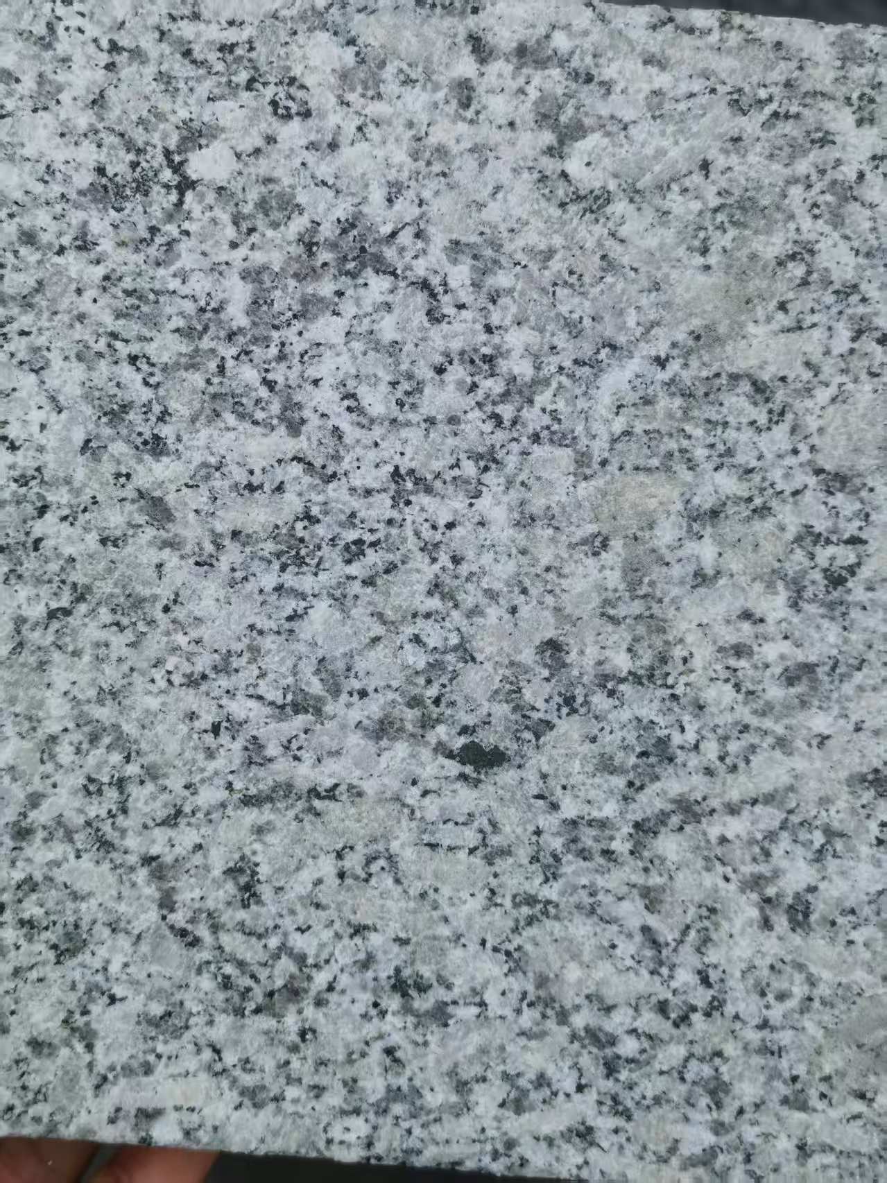 吉林市 芙蓉白火烧面