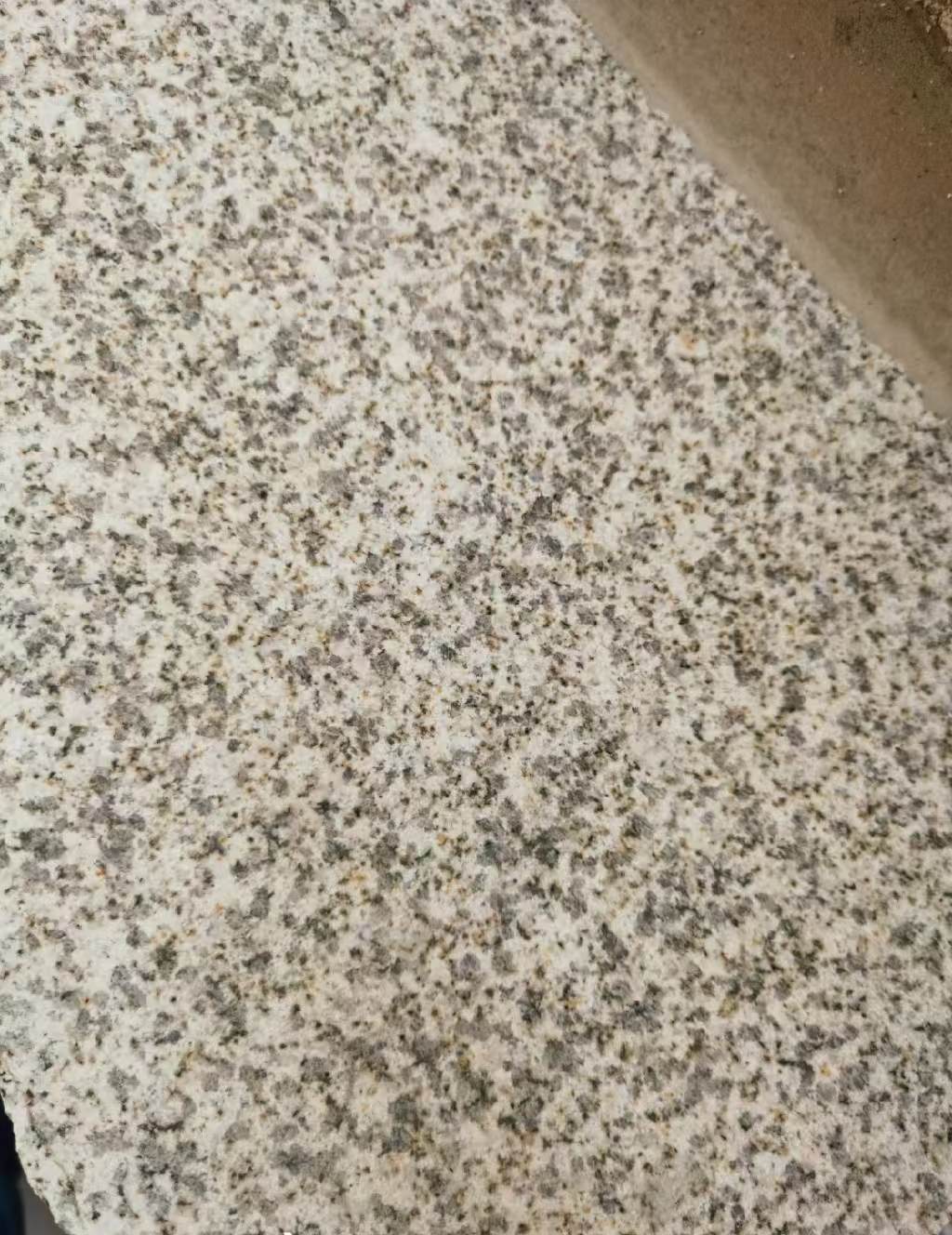 吉林市 黄金麻中黄光面